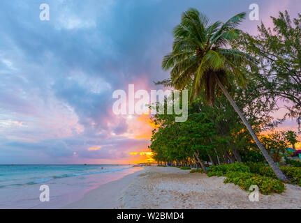 Karibik, Barbados, Bradenton Beach, Miami Beach oder Enterprise Beach Stockfoto