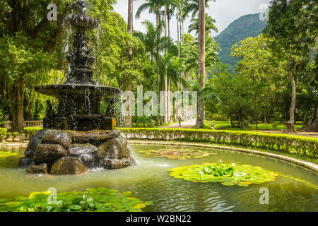 Jardim Botanico do Rio de Janeiro, Rio de Janeiro, Brasilien Stockfoto