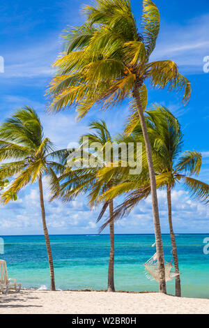 Kuba, Holguin Provinz, Hängematten zwischen den Palmen am Strand Playa Guardalvaca Stockfoto