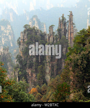 Zhangjiajie National Forest Park, Hunan, China Stockfoto