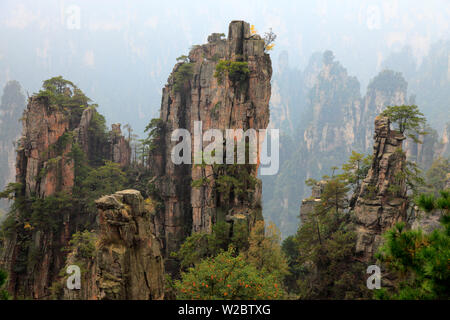 Zhangjiajie National Forest Park, Hunan, China Stockfoto