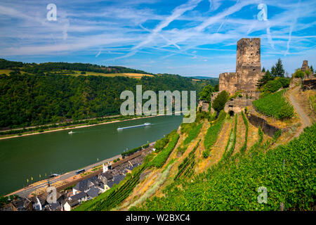 Deutschland, Rheinland-Pfalz, Rhein, Kaub und Burg Gutenfels oder Kaub Burg, Weinberg Stockfoto