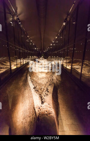 Dänemark, Fünen, Ladby, Vikingmuseum, 10. Jahrhundert Ladby Wikingerschiff Ruinen Stockfoto