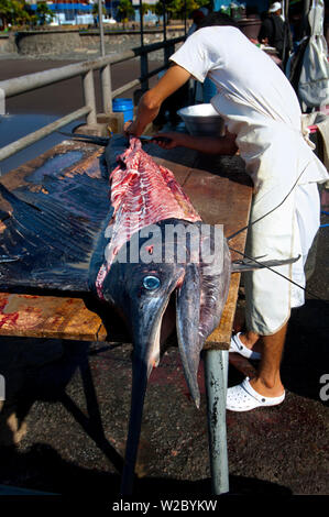 La Libertad, El Salvador, Vorbereitung einer Marlin für Markt-, Seafood Market, Pier, Pazifischer Ozean, Puerto De La Libertad, der Hafen von Freiheit, Abteilung von La Libertad Stockfoto