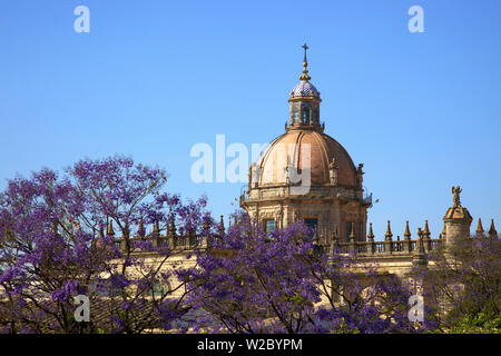 Die Kathedrale von San Salvador mit blühende Jacaranda-Bäume, Provinz Cadiz, Jerez De La Frontera, Andalusien, Spanien Stockfoto