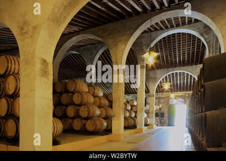 Bodegas Lustau, Jerez de la Frontera, Provinz Cadiz, Andalusien, Spanien Stockfoto