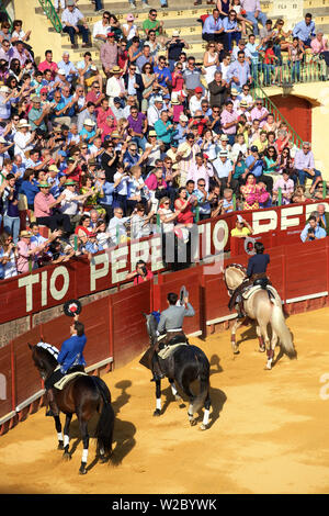 Stierkampf, Jerez de la Frontera, Provinz Cadiz, Andalusien, Spanien Stockfoto