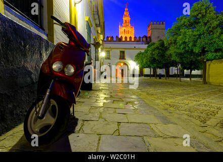 Spanien, Andalusien, Provinz Sevilla, Sevilla, Kathedrale von Sevilla, der Giralda Turm (La Giralda) vom Plaza del Patio de Banderas Stockfoto