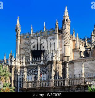 Prinz Tür Rosette, die Kathedrale der Heiligen Maria des Siehe (Catedral de Santa Maria de la Sede), Sevilla, Andalusien, Spanien Stockfoto