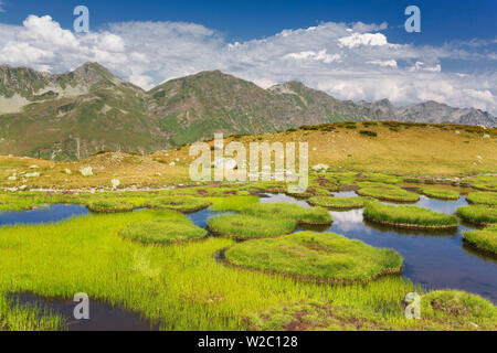 Tal der sieben Seen, Kaukasus, Abchasien (Georgien) Stockfoto