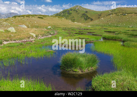 Tal der sieben Seen, Kaukasus, Abchasien (Georgien) Stockfoto