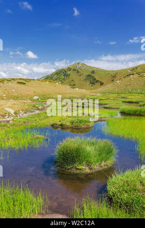 Tal der sieben Seen, Kaukasus, Abchasien (Georgien) Stockfoto