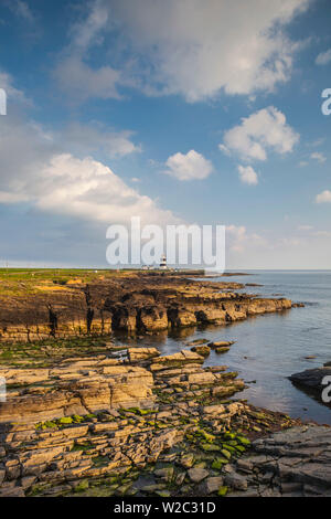 Irland, County Wexford, Hook Halbinsel, Hook Head, Hook Head LIghthouse, Sonnenuntergang Stockfoto