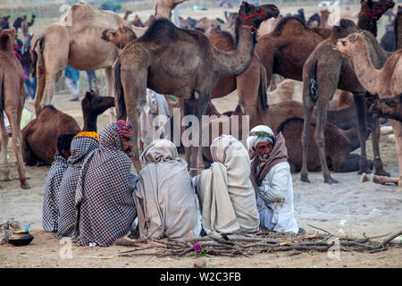 Indien, Rajasthan, Pushkar, Kamel Handel an den Pushkar Camel Fair Stockfoto