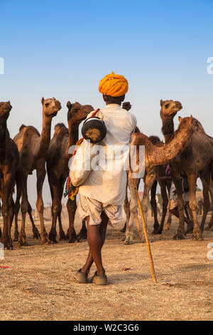 Indien, Rajasthan, Pushkar, Kamel Händler mit seinen kamelen am Pushkar Camel Fair Stockfoto