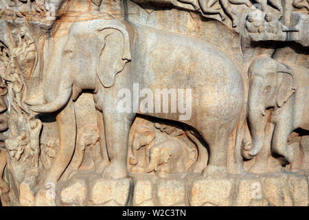 Pancha Rathas, cave Tempel (7. Jahrhundert), Mahabalipuram, Tamil Nadu, Indien Stockfoto