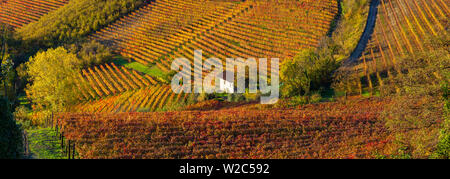 Weinberge, nr, Alba, Langhe, Piemont (oder Piemont oder Piemont), Italien Stockfoto