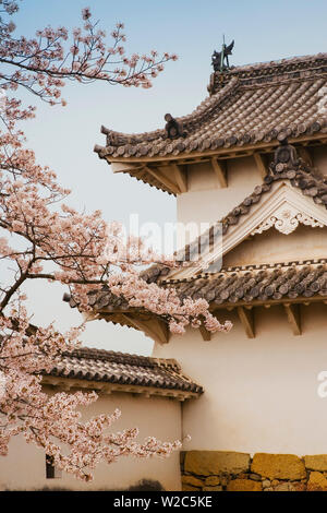 Asien, Japan, Honshu, Kansai Region, Himeji, Hemeji Castle, Hemeji-jo auch bekannt als Shirasagi die 'Weiße Reiher', die Kirschblüte (Sakura) in den Schlosspark Stockfoto