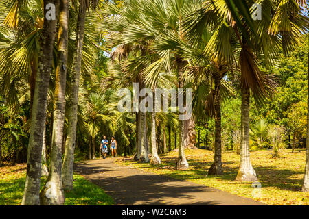 Sir Seewoosagur Ramgoolam Botanical Garden, Pamplemousses, Mauritius Stockfoto