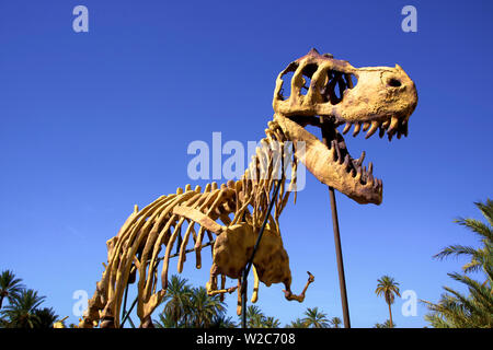 Full Scale Maquette von einem Dinosaurier, Tahiri Museum, Rissani, Marokko, Nordafrika Stockfoto
