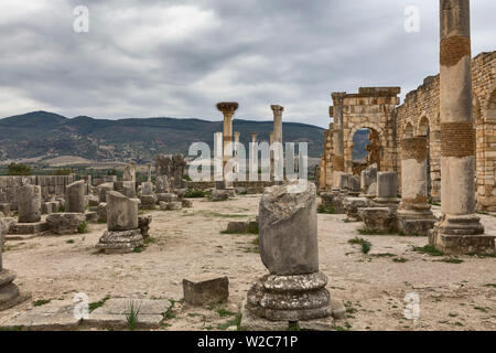 Römische Ruinen, Volubilis, Marokko Stockfoto