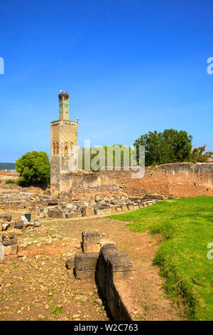 Die Ruinen von Chellah mit Minarett, Rabat, Marokko, Nordafrika Stockfoto