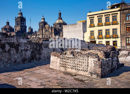 Mexiko, Mexiko City, Aztec, den Templo Mayor, den Großen Tempel, Wand von Schädeln, die Metropolitan Kathedrale im Hintergrund, Centro Historico Stockfoto