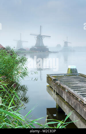 Niederlande, Nordholland, Zaandam, Zaanse Schans, von links nach rechts der Seeker (De) Zoeker Oilmill, die jungen Schafe (Het Jonge Schaap) Sägewerk und die Katze (De Kat) Dyemill Stockfoto