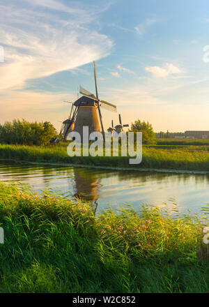 Niederlande, Südholland, Kinderdijk (UNESCO Weltkulturerbe) Stockfoto