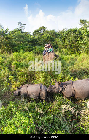 Nepal, Pokara, Chitwan National Park, Touristen auf Elephant Safari Rinos anzeigen Stockfoto
