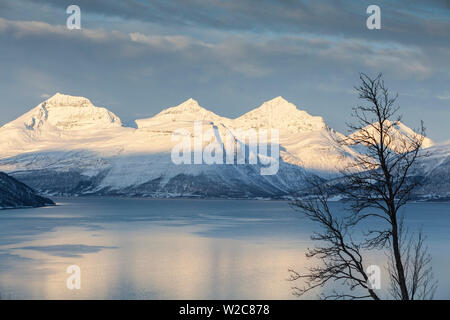 Balsfjorden im Winter, Tromso, Troms, Norwegen Stockfoto