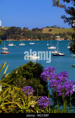 Rocky Bay, Waiheke Island, Neuseeland, Pazifische Ozean. Stockfoto