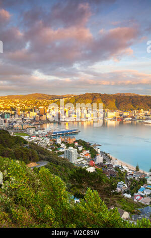 Erhöhten Blick auf Zentrum von Wellington beleuchtet bei Sonnenaufgang, Wellington, Nordinsel, Neuseeland Stockfoto