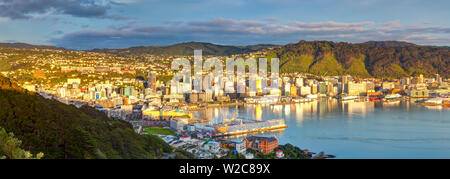 Erhöhten Blick auf Zentrum von Wellington beleuchtet bei Sonnenaufgang, Wellington, Nordinsel, Neuseeland Stockfoto