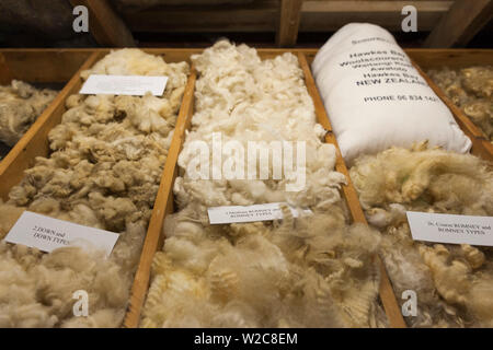 Neuseeland, Nordinsel, Masterton, das wolle Shed, nationales Museum der Schafe scheren, Wolle Stockfoto