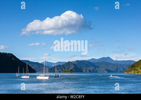 Yachten auf der idyllischen Queen Charlotte Sound, Picton, Marlborough Sounds, Südinsel, Neuseeland Stockfoto