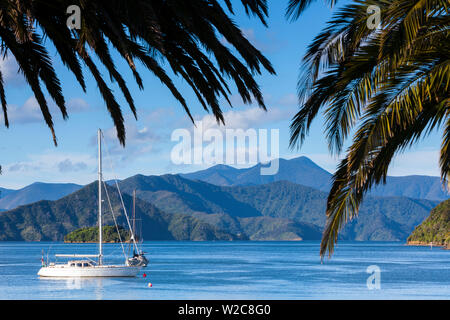 Yachten auf der idyllischen Queen Charlotte Sound, Picton, Marlborough Sounds, Südinsel, Neuseeland Stockfoto