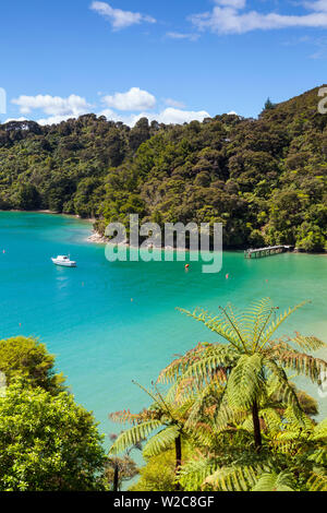 Erhöhte Blick über die malerische Bucht in idyllischer Kenepuru Sound, Marlborough Sounds, Südinsel, Neuseeland Stockfoto