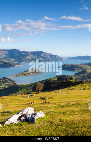 Erhöhte Blick über Banken Peninsular, Canterbury, Südinsel, Neuseeland Stockfoto