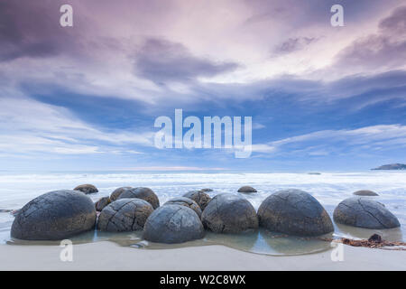 Neuseeland, Südinsel, Otago, Moeraki, Moeraki Boulders auch bekannt als Te Kaihinaki, dawn Stockfoto