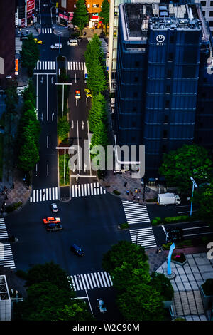 Tokyo, Japan - 10. Mai 2019: Schöne Tokio Stadtbild, Anzeigen von der Aussichtsplattform des Tokyo Metropolitan Government Building. Stockfoto