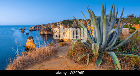 Portugal, Algarve, Lagos, Dona Ana Strand (Praia Dona Ana), Agave Stockfoto