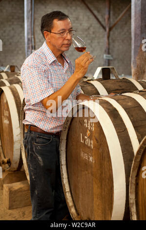 Peru, Bodega Ocucaje, Wine Maker, duftende Wein, Fässer des Alterns rote Weine, Weingut, Weinberge, Ocucaje Wüste, Ica, ICA-Region Stockfoto