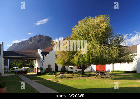 Südafrika, Western Cape, Stellenbosch, dem Zorgvliet Weingut Stockfoto