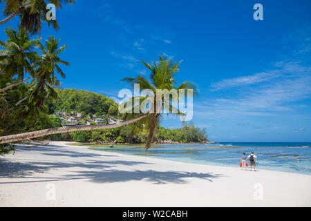 Palmen und tropischen Strand, Süden von Mahe, Seychellen Stockfoto