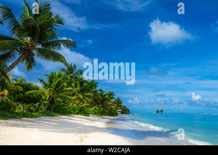 Tropischer Strand, La Digue, Seychellen Stockfoto
