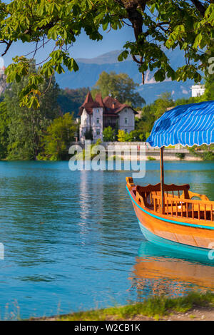 Slowenien, die Julischen Alpen, Obere Krain, Bled, Bled, Sportboote Stockfoto