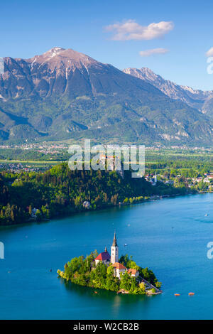 Erhöhte Blick über die Insel mit der Kirche Mariä Himmelfahrt, der See von Bled, Bled, Obere Krain, Julische Alpen, Slowenien Stockfoto
