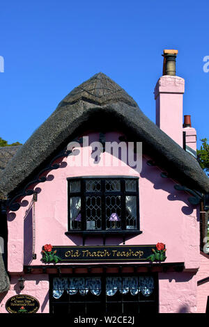 Tee Shop, Isle of Wight, Großbritannien Stockfoto