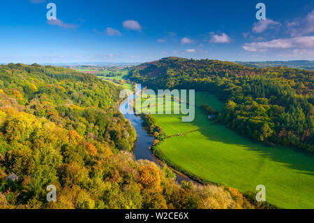 Großbritannien, England, Herefordshire, Blick nach Norden entlang des Flusses Wye von Symonds Yat Rock Stockfoto